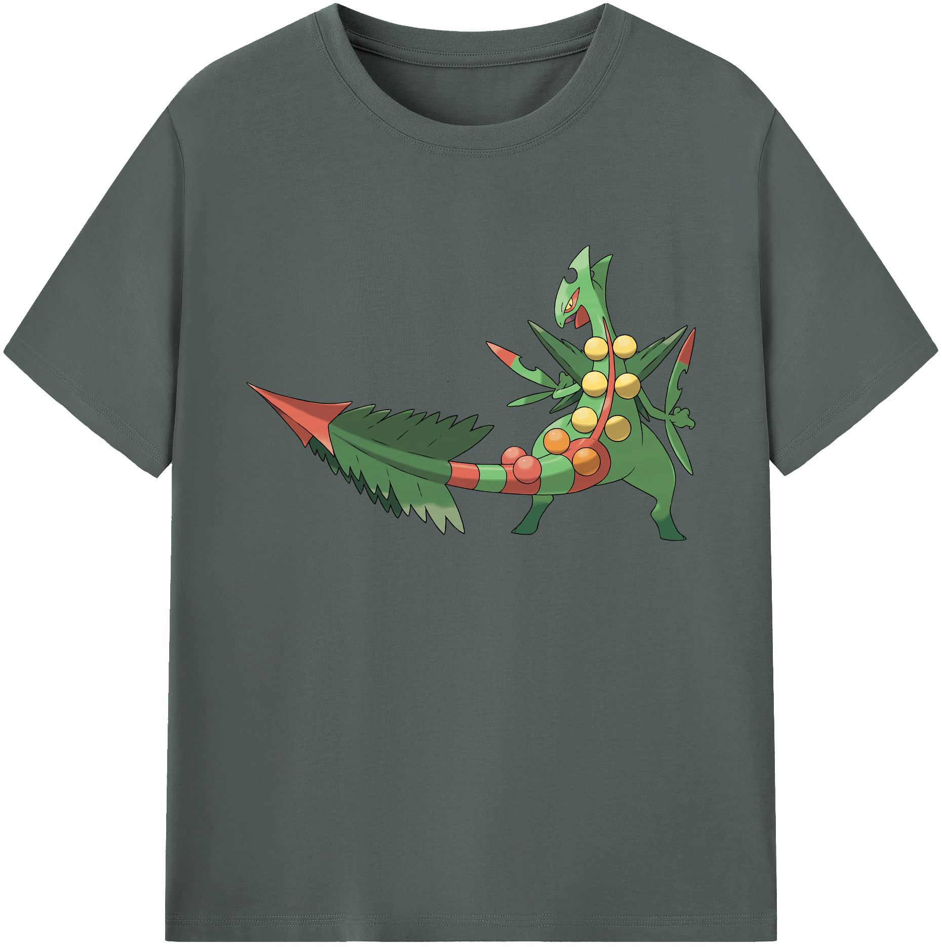 （画像用） ポケットモンスター Pokémon 綿100％ メンズ半袖Tシャツ｜肌触りやわらか＆通気性